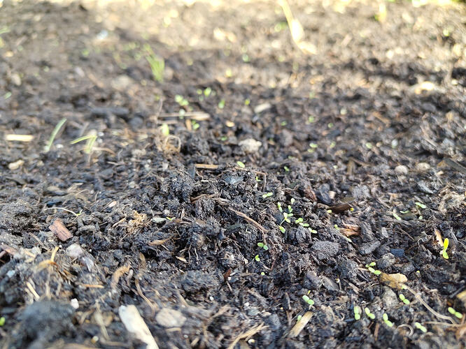 IMG_20260316_085916376