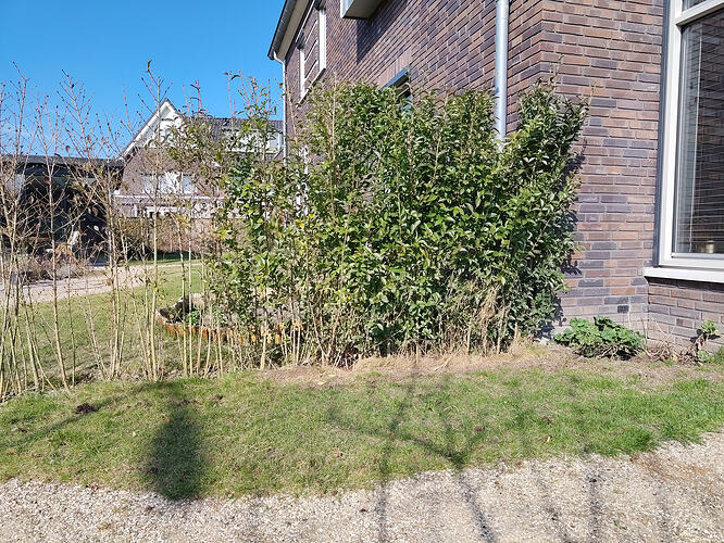 IMG_20260304_130437307