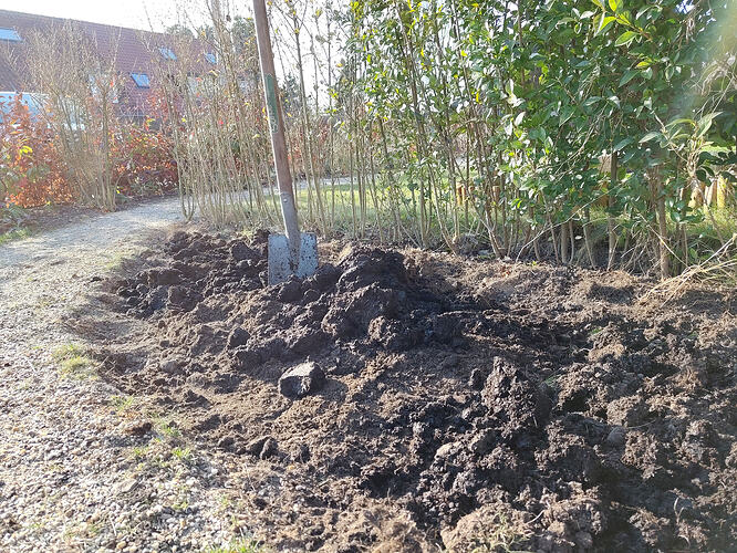 IMG_20260304_160822767