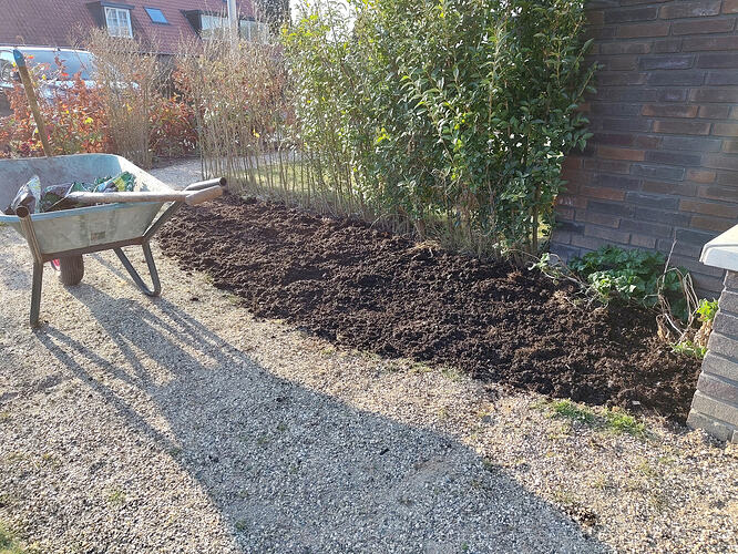 IMG_20260304_162543500